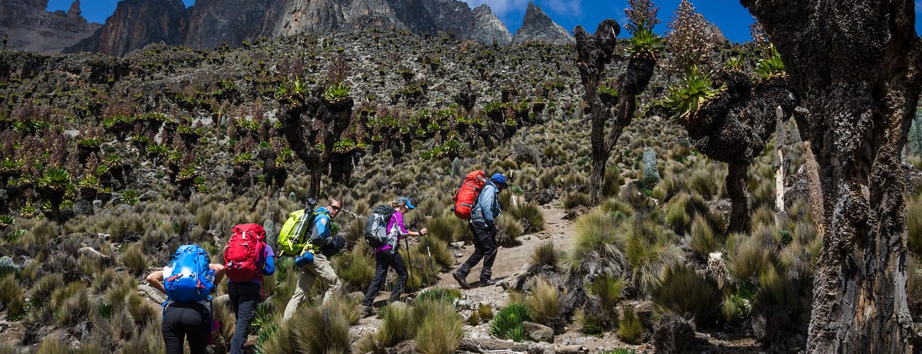 mount-kenya-trekking
