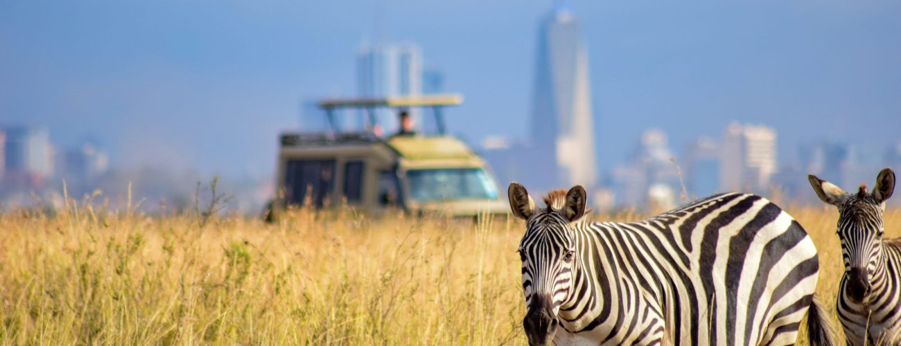 zebras_nairobi_national_park